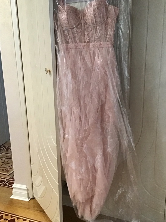 Dresses & Skirts - Blush Pink Lace & Tulle Maxi Dress